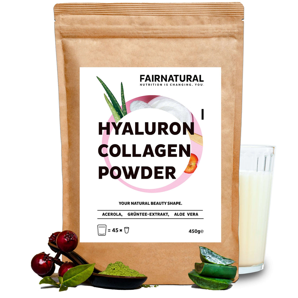 Kollagen Hyaluron Pulver 1er Pack (450g)